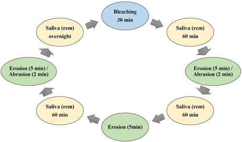 Figure 1 Schematic of the erosive/abrasive protocol used.