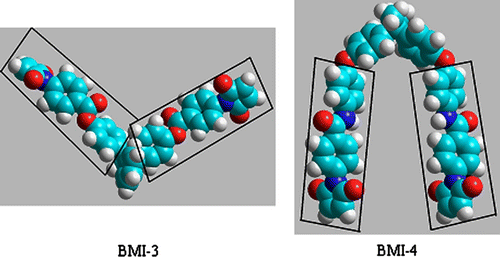 Figure 5 Space fill models of bismaleimides BMI-3 and BMI-4 after modeling using molecular dynamic. The rigid core part of the two mesogenic branches was evidenced.