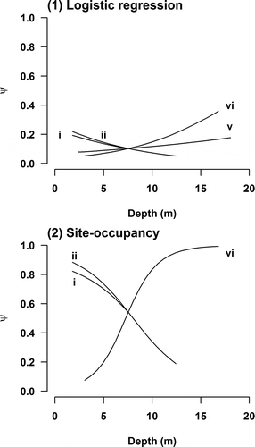 FIGURE 6. Conditional responses in Black Grouper occurrence probability () to depth within each reef stratum for the logistic regression and site occupancy model formulations. Reef strata (i–vi) are described in Table 1. Only reef strata with statistically significant slope coefficients are shown.