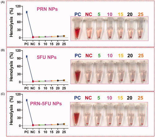 Figure 8. Hemolysis assay with different concentration of GEM and GEM-NMs. The result of hemolysis assay reveals that the insignificant hemolysis which shows that is extremely biocompatible for in vivo profiles.