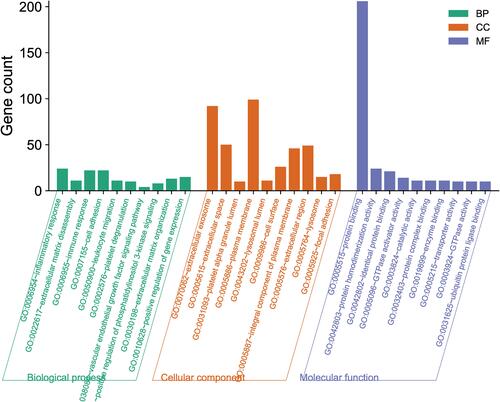 Figure 2 Gene Ontology (GO) analysis of DEGs in the biological process (BP), molecular function (MF) and cellular component (CC). Select important GO entries with P < 0.05.