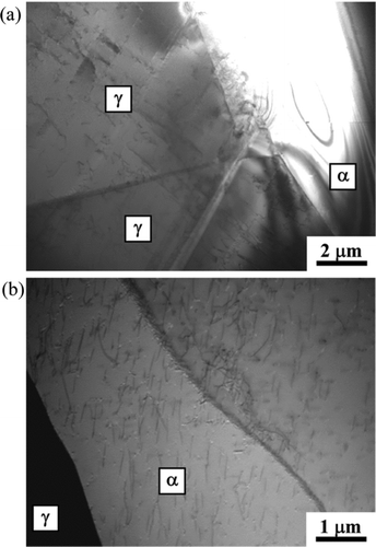 Figure 6 BF-STEM images of a recirculation pump casing as collected; (a): austenite phase, (b): ferrite phase