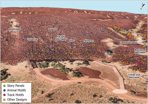 Figure 25. The Nganjarli site showing the location of the selected petroglyphs suitable for public education and awareness in the vicinity of the proposed walkway.