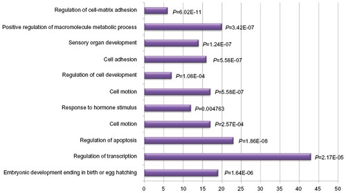 Figure 1 Bar chart demonstrating the distribution of the most important groups describing the function of the genes with abnormal DNA methylation in lung cancer tissue.