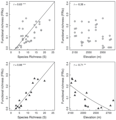 FIGURE 5. Scatter plots of species richness and elevation against functional richness (FRic) on the upslope of the Piton des Neiges volcano for ground (circles) and epiphytic communities (triangles). Pearson rank's correlation is indicated when relationship is significant (***: p < 0.001, **: p < 0.01, +: p < 0.1) . Marginal trend in FRic against elevation for ground-dwelling communities.