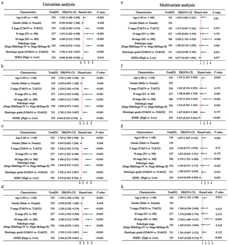 Figure 4. The correlation analysis between SDH genes expression and clinicopathologic characteristics in ccRCC patients. (a-d) The forest plot of ccRCC patients’ clinicopathologic features using univariate Cox regression analysis. (e-h) The forest plot of ccRCC patients’ clinicopathologic characteristics applying multivariate Cox regression analysis.