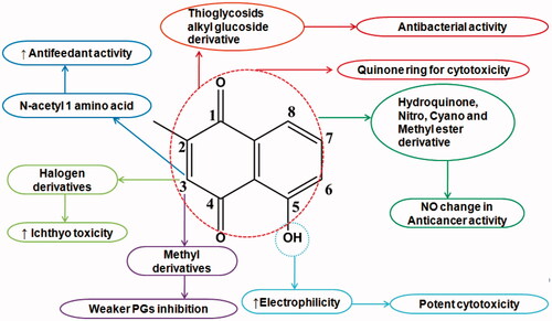 Figure 1. Schematic of the plumbagin structural activity relationship.