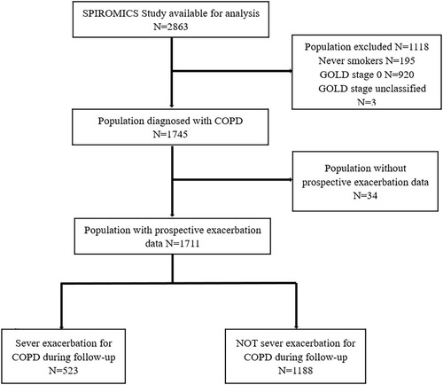 Figure 1 Study flow chart. SPIROMICS: Subpopulations and Intermediate Outcome Measures in COPD Study.