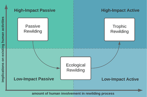 Figure 5. The different forms of rewilding within the existing literature (principally the X-axis) are given a further dimensionality emerging from Surrey landholder views which add the relevance of impacts affecting existing human activities.