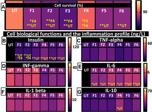 Figure 5 Cell survival (A), insulin production (B), inflammatory markers (C–G). Data are mean ± SEM, n = 3. *P<0.05, **P<0.01.