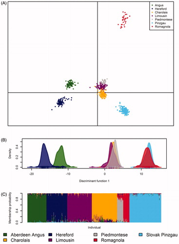 Figure 6. Genetic differentiation within and between evaluated populations based on discriminant analysis of principal components (DAPC) (A), first discriminant function of DAPC (B) and individual membership probabilities suggested by a model-based Bayesian clustering approach (C).