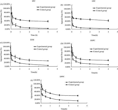 Figure 1. Blood clearance (0–4 h) of calcein in rats after a second injection of PEGylated liposomes made of different types of phospholipid (n = 6).