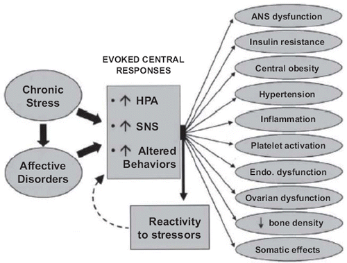 Figure 1. Pathophysiologic mechanisms by which chronic stress and affective disorders promote atherosclerosis. From reference (Citation40) with permission.ANS = autonomic nervous system; SNS = sympathetic nervous system; HPA = hypothalamic–pituitary–adrenal.