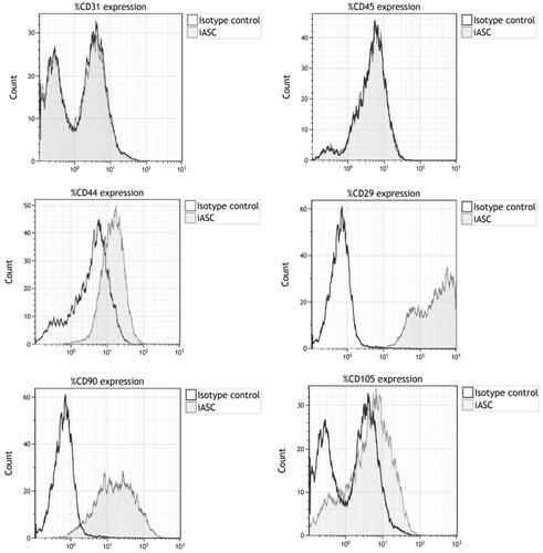 Figure 2. Representative data of CD‐surface marker expression in immortalized ASCs.