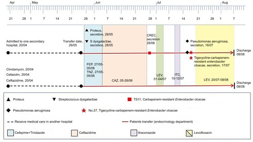 Figure 2 The timeline of the carbapenem-resistant E. cloacae TS.11 and the tigecycline- and carbapenem-resistant E. cloacae NO.27 isolated from the same patient.Abbreviations: CAZ, ceftazidime; CREC, carbapenem resistant E. cloacae; FEP, cefepime; ITC, itraconazole; LEV, levofloxacin; TNZ, tinidazole.