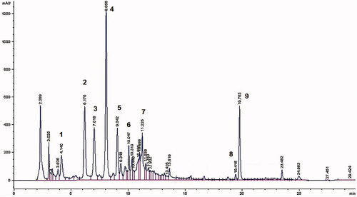 Figure 1. HPLC profile of VAC extract at 260 nm. 1. 3,4-Dihydroxybenzoic acid; 2. 4-Hydroxybenzoic acid; 3. Isoorientin; 4. Agnuside; 5. Isovitexin; 6. Luteolin; 7. Apigenin; 8. Penduletin; and 9. Casticin.