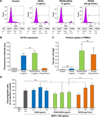 Figure 3 In vitro effects of SPION-DEXA on monocytic cells.Notes: (A) Flow cytometric analysis of CD163 expression in PBMCs treated with free DEXA (1 µg/mL), SPION-DEXA (1 µg/mL DEXA, corresponding to 40 µg Fe/mL), or control SPIONs for 48 hours. (B) Fluorescence intensity quantification. Data are expressed as mean ± SEM. ***P<0.001 vs untreated control (signed rank test); n=3. (C) SPION uptake by PBMCs. Data are expressed as mean ± SEM. ***P<0.001 vs untreated control (signed rank test); n=3. (D) THP-1 chemotaxis toward MCP-1 was quantified after treatment with DEXA, SPION-DEXA, or SPIONs alone for 2 hours. Nanoparticle-untreated positive control values (with MCP-1) were set to 100%. Data are expressed as mean ± SEM. *P<0.05; ***P<0.001 vs corresponding concentrations of control SPIONs (signed rank test); n=3.Abbreviations: DEXA, dexamethasone; MCP-1, monocyte chemoattractant protein-1; ns, not significant; Neg Co, negative control; PBMCs, peripheral blood mononuclear cells; Pos Co, positive control; SEM, standard error of the mean; SPION-DEXA, SPIONs conjugated with dexamethasone phosphate.