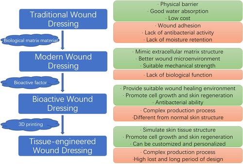 Figure 4 Development of wound dressings and characteristics. The advantages and disadvantages of different dressings are shown in green and red squares, respectively.