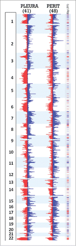 Figure 3. Significant regions of gains and losses in pleural and peritoneal MM. Frequency data of CNAs for the 41 pleural and 48 peritoneal epithelioid MMs are shown, with regions significant to p <0.01 and a difference threshold greater than 33% flagged in the column labeled Sig (.01). Red segments in the significance bar depict regions of significantly different incidence of chromosomal losses between the 2 disease sites; blue segments equal significantly different sites of chromosome gains.