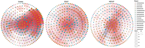 Figure 7. Bacterial and fungal co-occurrence and co-exclusion network. Based on relative abundance, spearman correlation coefficients were computed, and relationships with |R|≥0.6 and p < 0.05 were selected to construct the correlation network.