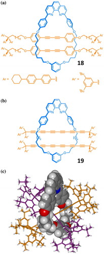 Figure 6. (colour online) Doubly threaded internal alkyne rotaxanes have been prepared (a) by Saito et al. using Glaser homocoupling conditions and (b) Anderson et al. under both Glaser and Cadiot coupling conditions. (c) Partial stick and shape filling representation of the X-ray crystal structure of doubly threaded polyyne [3]rotaxane 19, where z = 1.