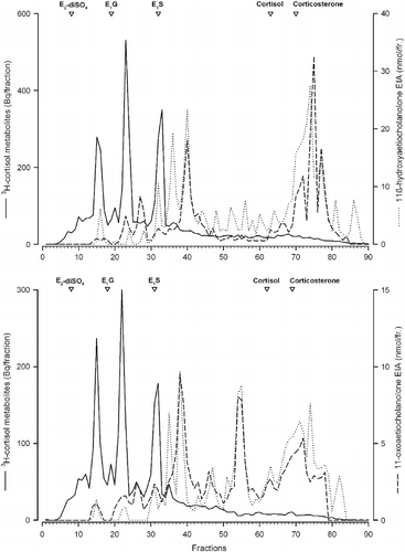 Figure 4.  RP-HPLC radioimmunogram of peak radioactive faecal extracts from female mink. Samples shown are representative of a high stereotypic female (upper panel) and a low stereotypic female (lower panel) mink injected with 3H-cortisol. Radioactivity (solid line) and immunoreactivity with an 11-oxoaetiocholanolone EIA (- -) and an 11ß-hydroxoaetiocholanolone EIA (…) were determined in the different fractions. Elution times of respective standards are marked with open triangles (E2-diSO4, oestradiol disulphate; E1G, oestrone glucuronide; E1S, oestrone sulfphate, cortisol and corticosterone).