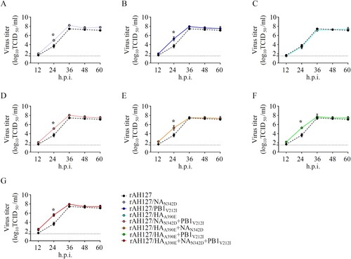 Figure 4. In vitro growth kinetics of the recombinant IBVs. (A–G) MDCK cells were infected with rAH127, rAH127/NAN342D (A), rAH127/PB1V212I (B), rAH127/HAA390E (C), rAH127/NAN342D+PB1V212I (D), rAH127/HAA390E+NAN342D (E), rAH127/HAA390E+PB1V212I (F), or rAH127/HAA390E+NAN342D+PB1V212I (G) at an MOI of 0.001. Culture supernatants were harvested at 0, 12, 24, 36, 48, and 60 h.p.i. and the titres were determined by performing TCID50 assays in MDCK cells. The presented results are the means of three independent experiments, and the error bars show the standard errors of the mean (SEM).