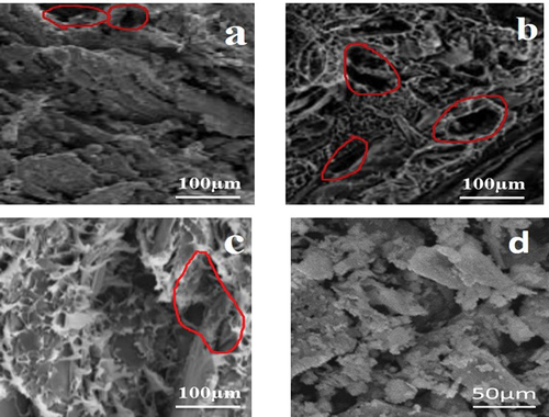 Figure 10. SEM micrography of a) 25%, b) 15%, and c) 5% wood waste particles reinforced composite.