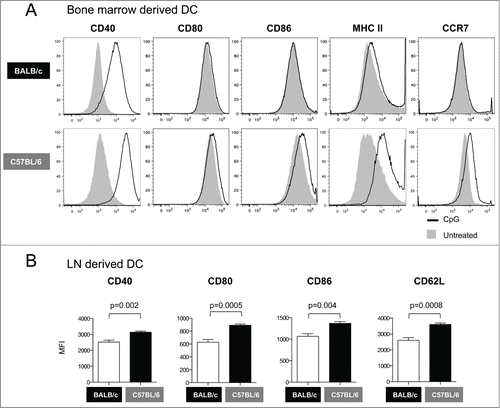 Figure 3. Phenotypic analysis of DC from BALB/c and C57BL/6 mice. (A) Bone marrow derived DCs were treated with CpG for 12 hours and their maturation phenotype was monitored by flow cytometry. The overlays show the expression of co-stimulatory molecules (CD40, CD80 and CD86), MHC II and CCR7 in untreated (solid histograms) and CpG-treated DC (open histograms). (B) Phenotypic analysis of DC from lymph nodes ex vivo. Graphs show the Mean Fluorescence Intensity (MFI) for CD40, CD80, CD86, and CD62L in DC from inguinal lymph nodes obtained from BALB/c and C57BL/6 mice. p values (unpaired t test) are given.