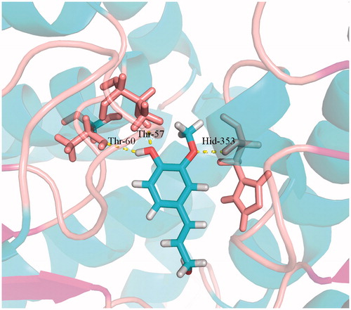 Figure 6. Docking simulations showed the detail of coniferyl alcohol binding site in SAHH active pocket. Hydrogen bonds are represented by dotted pink lines.