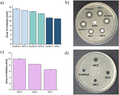 Figure 5 The antibacterial activity against Staphylococcus aureus; dependence of the inhibition zones and the representative photographs of the performed experiments for nanoparticles (a and b) and hybrid systems (c and d), respectively.