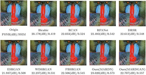 Figure 10. “Baboon” image reconstruction in Set14 dataset by different SR algorithms: (a) origin PSNR(dB)/SSIM, (b) bicubic 20.178(dB)/0.419, (c) RCAN 22.033(dB)/0.524, (d) RFANet 22.483(dB)/0.542, (e) DRSR 22.612(dB)/0.548, (f) ESRGAN 21.937(dB)/0.508, (g) WDSRGAN 22.237(dB)/0.531, (h) FBSRGAN 22.506(dB)/0.545, (i) ours(MARDN) 23.020(dB)/0.573 and (j) ours(MARDGAN) 22.707(dB)/0.557.