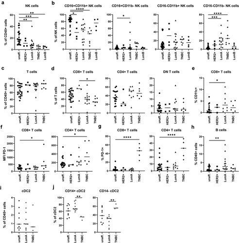 Figure 5. Validation of the identified alterations in the NK cell, T cell, B cell, and cDC2 compartment using a second cohort of BC patients. In order to validate the identified alterations using the unbiased approach, NK cells, T cells, B cells, and cDC2 were analyzed in the samples of the first cohort and in additional donors of a second cohort. Cells were gated according to Figure S5. a) Frequency of NK cells among CD45+ immune cells was determined. b) NK cells were analyzed for expression of CD16 as well as CD11b and distinguished into CD16+CD11b+ cells, CD16+CD11b− cells, CD16−CD11b+ cells, and CD16−CD11b− cells. c) Frequency of CD3+ T cells among CD45+ immune cells was determined. d) CD3+ T cells were distinguished into CD4+, CD8+, and DN T cells and frequency among T cells was determined. e) Shown is the frequency of CD11c+ cells among CD8+ T cells. f) MFI value for PD-1 expression and g) percentage of PD-1+ cells was determined for each T cell population. h) the frequency of B cells was determined for each sample. i) The frequency of cDC2 among all CD45+ immune cells was determined for each sample with more than 50 cDC2 in the final gate (Figure S5C) as well as j) the phenotype based on CD14 expression. a-j) the frequency or MFI value were plotted as scatter plot (one-way ANOVA with Dunnett’s multiple comparison test; *p < 0.05, **p < 0.01, ***p < 0.001, ****p < 0.0001).