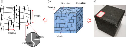 Figure 2. Schematic illustration of coal cleat system and its geometry. (a) Cleat trace pattern in a plane view; (b) coal cleat system and matrix block; and (c) raw coal.