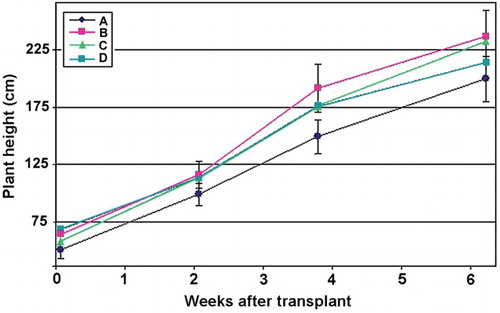 Figure 4. Effect of treatments with P. chlamydosporia on tomato plants after transplant. For treatments description see text. Vertical bars = SE.