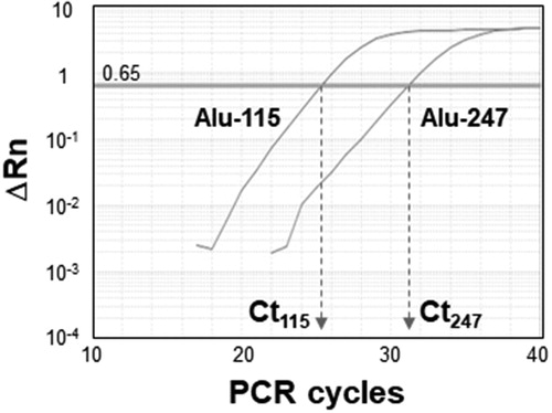Figure 1. Representative amplification curves for Alu-115 and Alu-247. An arbitrary cut-off value of ΔRn = 0.65 was used to obtain the Ct values. Ct115 and Ct247 mean Ct values of Alu-115 and Alu-247, respectively.