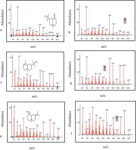 Figure 6. Resolved and standard mass spectra for the selected peak cluster, (a) standard and (b) resolved mass spectra of β-Eudesmol, (c) standard and (d) resolved mass spectra f ɑ-Eudesmol, (e) standard and (f) resolved mass spectra of Juniper camphor.