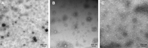 Figure 5 Transmission electron microscopy images of the receiver medium after mucosal penetration study of (A) IPC-DNVs, (B) INS-DNVs, and (C) IPC-DNVs at 4 hours.Abbreviations: DNVs, deformable nanovesicles; INS, insulin; IPC, insulin-phospholipid complex; NVs, conventional nanovesicles.