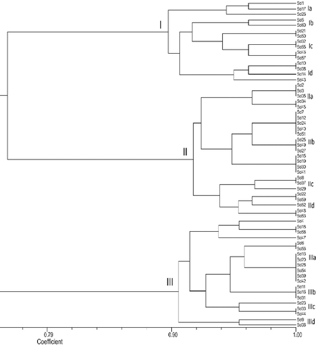 Figure 2. Un-weighted pair group method with arithmetic mean (UPGMA) dendrograms showing the genetic relationships between the 60 isolates of Sclerotinia sclerotiorum based on SSR markers.