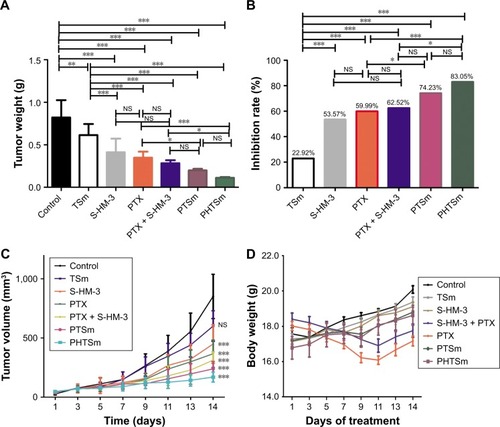 Figure 7 The results of antitumor assay in vivo.Notes: Tumor weight (A) and inhibition rate of different groups (B) at 14 days. Tumor volume of different groups (C) and change of tumor weight (D) within 14 days. *P<0.05 means significant difference, **P<0.01 or ***P<0.001 means extremely significant difference.Abbreviations: NS, nonsignificant; PTX, paclitaxel.