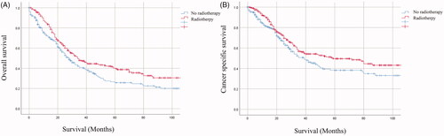 Figure 3. The Kaplan–Meier survival curves for patients with or without receiving radiotherapy after PSM. (A) overall survival; (B) cancer-specific survival.