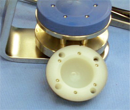 Figure 2. The RM press-fit socket with 6 tantalum markers (1.2 mm) inserted into pre-existing openings in the polyethylene rim of the RM press-fit socket.