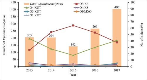 Figure 1 Distribution of the main Vibrio parahaemolyticus serotypes from patients with acute diarrhoea in southeastern China from 2013 to 2017.