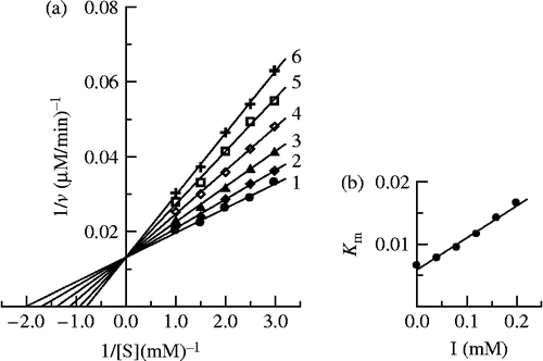 Figure 6.  Determination of the inhibitory type and inhibition constants of Cefazolin on mushroom tyrosinase. (a) Lineweaver-Burk plots of the diphenolase activity of mushroom tyrosinase inhibited by cefazolin. The concentrations of Cefazolin for curves 1–6 were 0, 0.04, 0.08, 0.12, 0.16 and 0.20 mM, respectively. (b) The plot of Km app. verus the concentration of Cefazolin to determine the inhibition constant.