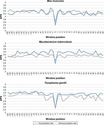 Figure 3 Average PSSM score (APS) for each position of surrounding succinylation (green color) and nonsuccinylation (gray color) fragments for seven species, especially those fragments located in the positions of approximately −20 to −1 and +1 to +20 window position.Note: P-values were calculated using Kruskal–Wallis test (Table S1).Abbreviation: APS, average PSSM score.