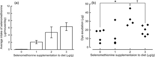 Figure 4. Active cutaneous anaphylaxis in BALB/c mice according to selenium status. Three-week-old female BALB/c mice were fed diets containing different levels of selenomethionine. Active cutaneous anaphylaxis (ACA) against OVA was elicited in the different groups. Panel a shows the selenium intake of each group of mice and panel b shows ACA intensity. The results are presented as mean ± SD (n = 4–6 per group). The mean values of the groups were compared to the mean value for mice fed diet without selenomethionine, and to those for mice fed a diet containing 1 µg/g selenomethionine. * indicates p < 0.05, for comparisons with the values for mice fed a diet without selenomethionine. † indicates p < 0.05 for comparisons with the values for mice fed a diet containing 1 µg/g selenomethionine.