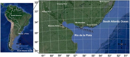 Figure 1. Map showing location of the study area. Black dots in the Río de la Plata indicate the position of the sampling stations A1 through A11.