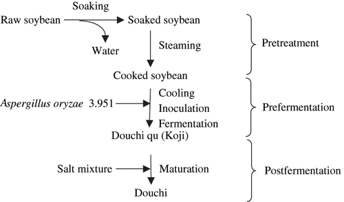 Figure 2 Flow diagram for processing soybeans to make Douchi.[Citation15]