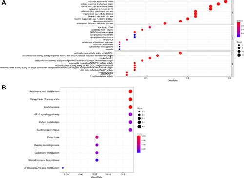Figure 2 GO and KEGG analyses of differentially expressed ferroptosis-related genes. (A) Functional annotation of differentially expressed ferroptosis-related genes between adjacent normal and tumor samples using GO terms. (B) Functional annotation of differentially expressed ferroptosis-related genes between adjacent normal and tumor samples using KEGG terms.