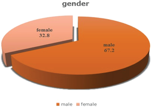 Figure A1. The distribution of the overall study sample according to gender.